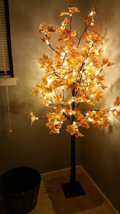 Fantasy lighting adds to the magical experience!