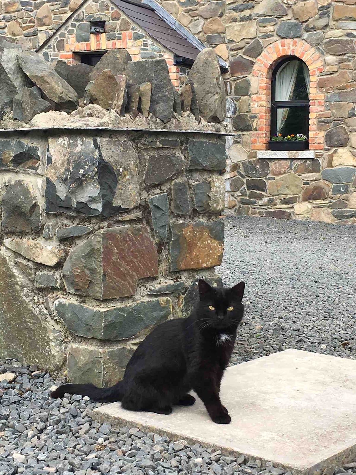 A black cat sits calmly on a stone path, next to a rugged stone boundary wall. The wall features various textures and colors, while a window with decorative florals is visible in the background, adding warmth to the natural stone setting.