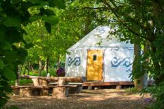 Beautiful+Woodland+Yurt+near+Chichester