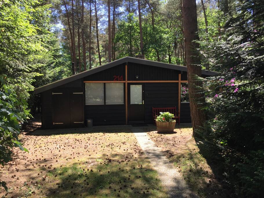 Vakantiebungalow in het bos