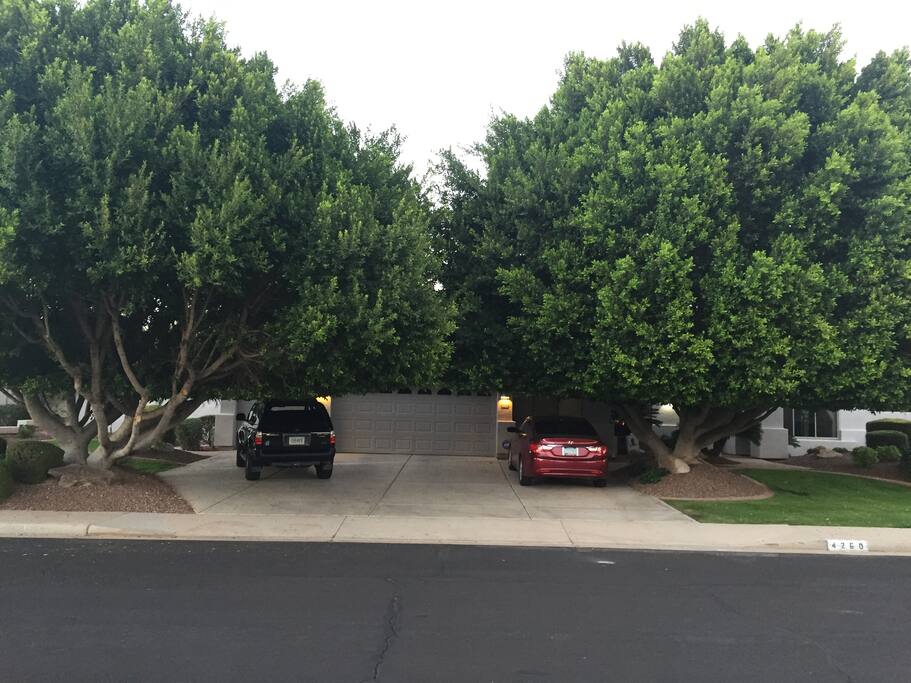Parking in driveway