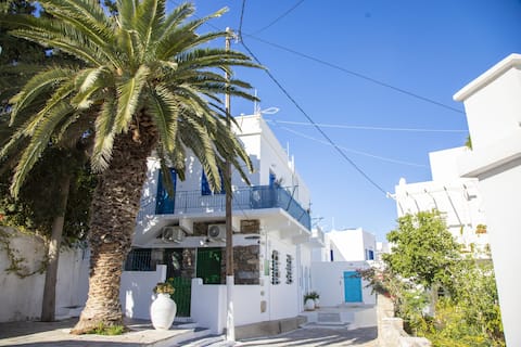 Luxury Renovated Stone Home,50m from Katapola port