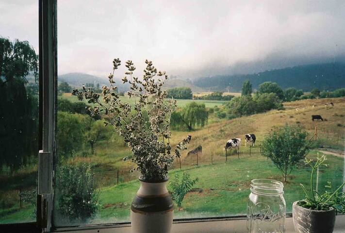 The Old South Wolumla Post Office