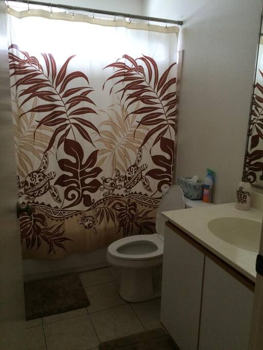 Guest bathroom (not attached to guest bedroom)