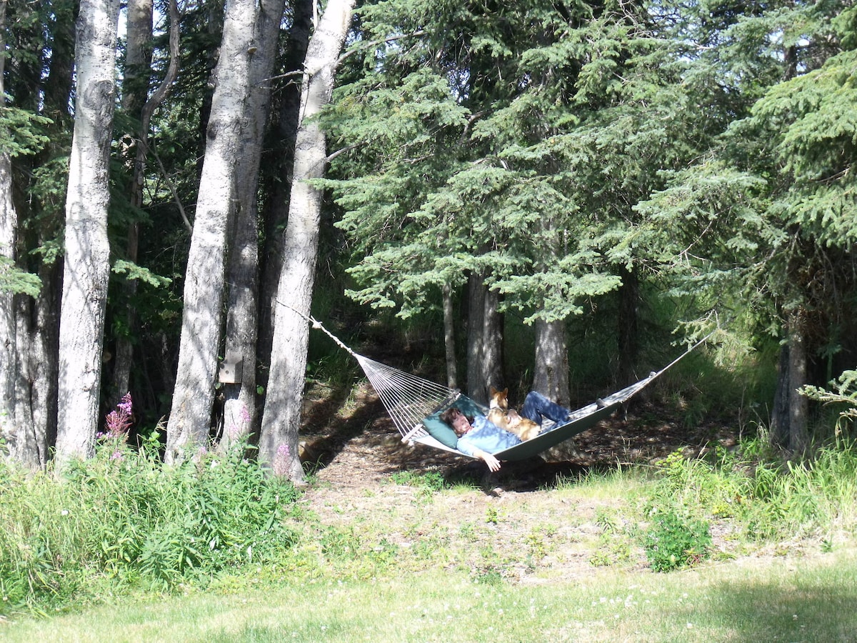A hammock is suspended between two trees in a wooded area, offering a serene resting space surrounded by tall trees and greenery. A clear sky peeks through the foliage, and sunlight dapples the ground, enhancing the peaceful setting.