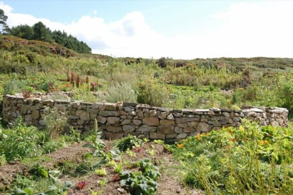 Circle garden and herb Labryninth