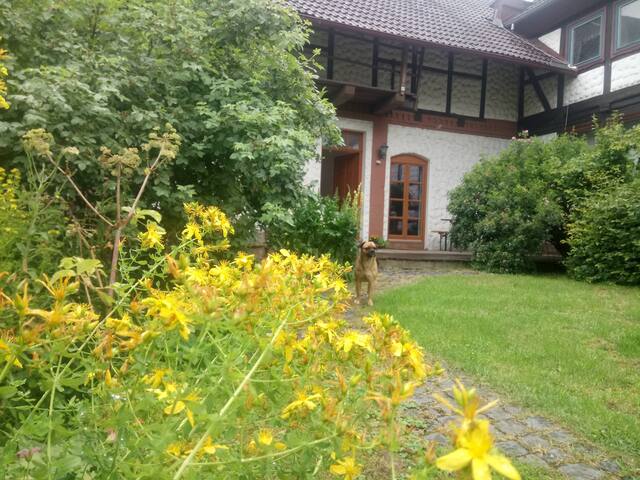 spacious apartment in old barn with woodburner