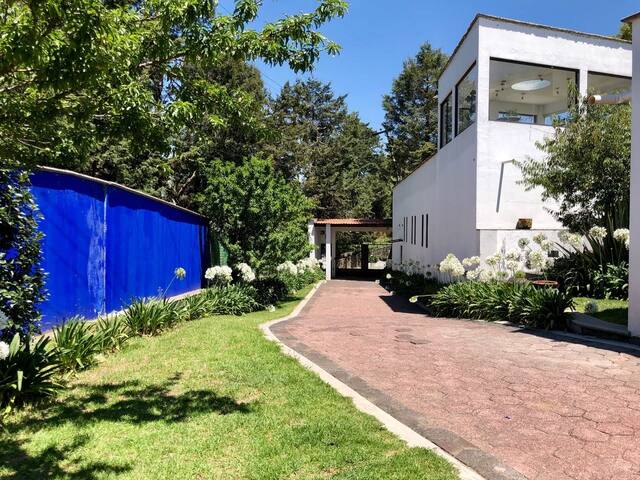 Los capulines gallery image 2