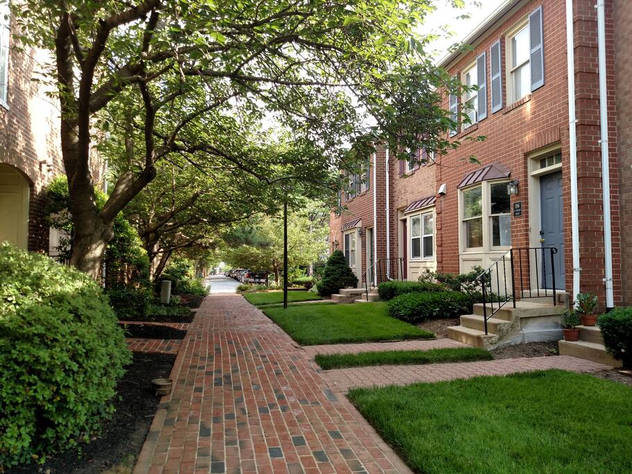 Quiet street