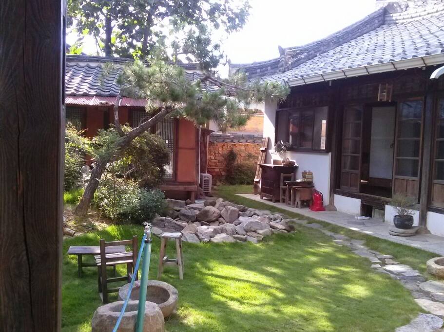 the yard