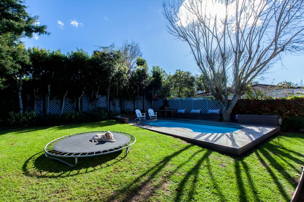 View of the garden