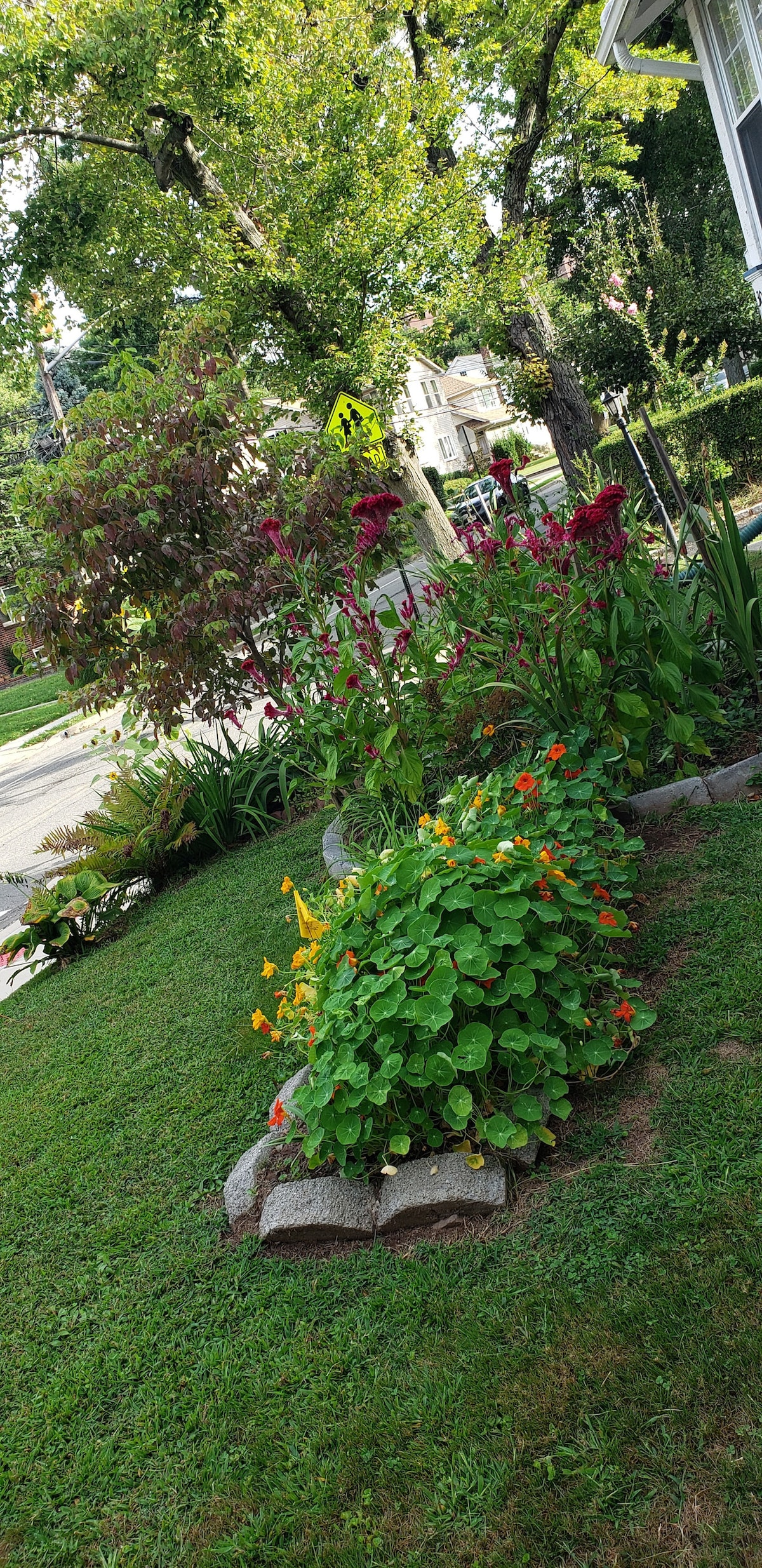 A lush garden is highlighted with vibrant flowers in various colors, including deep reds and bright oranges. The garden is bordered by stone edging and surrounded by a well-maintained lawn. Trees provide shade in the background, and a residential street is visible in the distance.