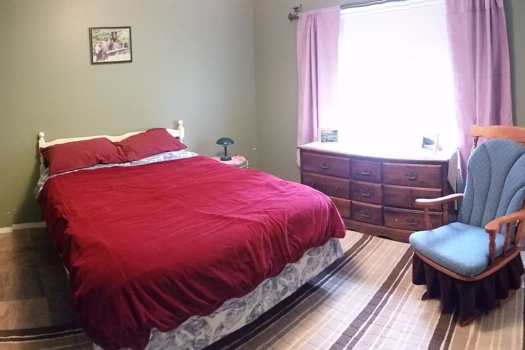 bedroom with queen bed and large closet and dresser