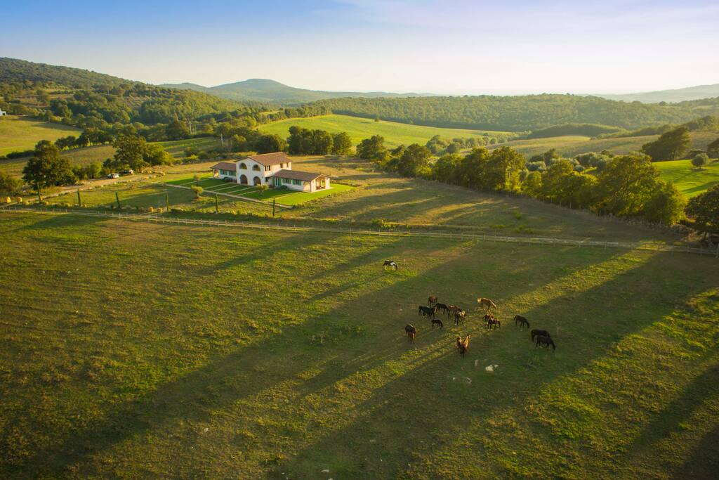 La natura circonda l'azienda agricola del Pietriccio Rosso