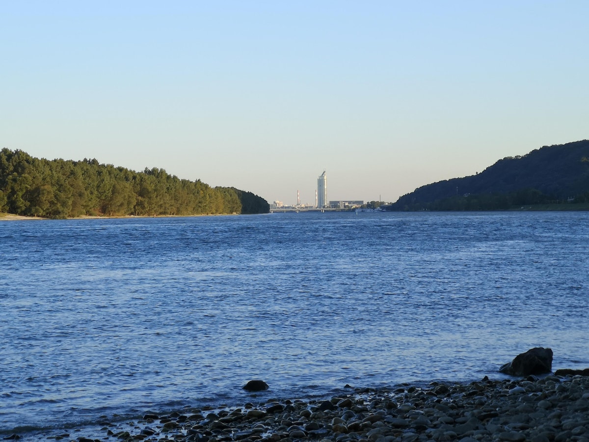 A serene view of the riverbank features gentle waves lapping at the shore. Lush greenery lines the water's edge, while a distant modern building is visible across the river, framed by hills on the right. The scene is bathed in soft evening light.