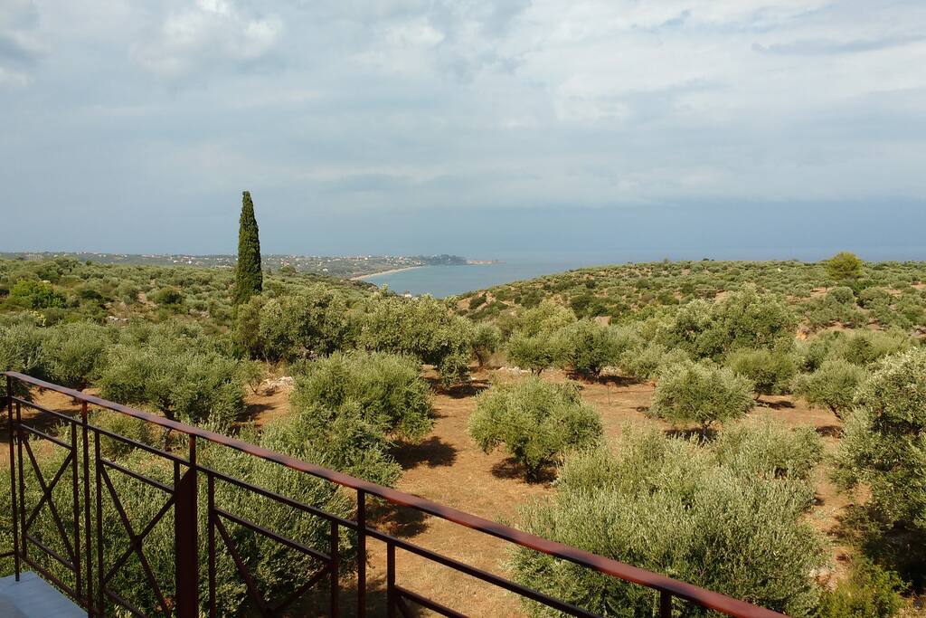View from the balcony