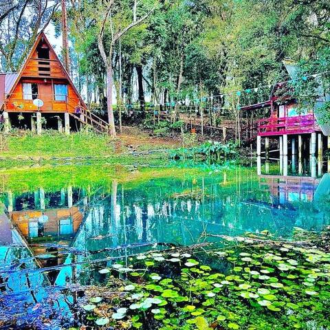 Lake Cottage
