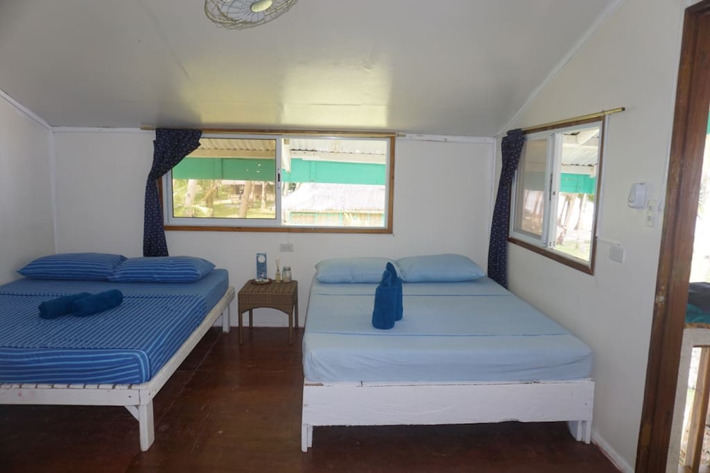 Large windows, fans, 4 beds and private bathroom