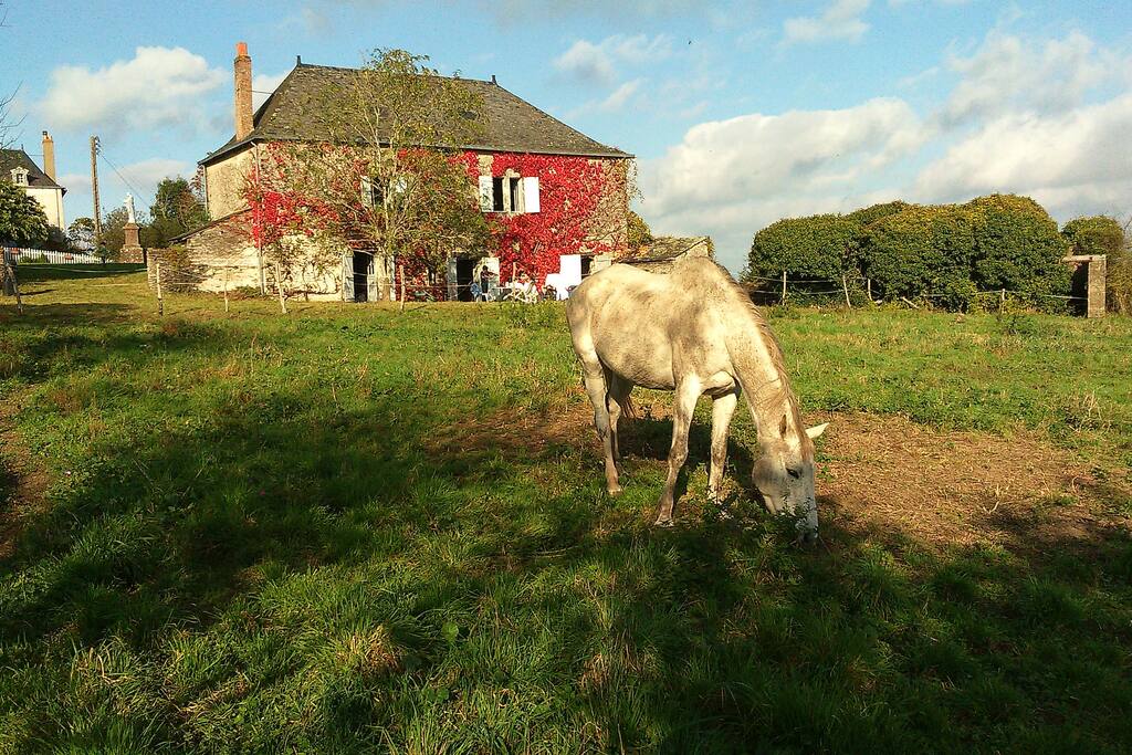 L'autre façade de la maison avec des chevaux dans le pré