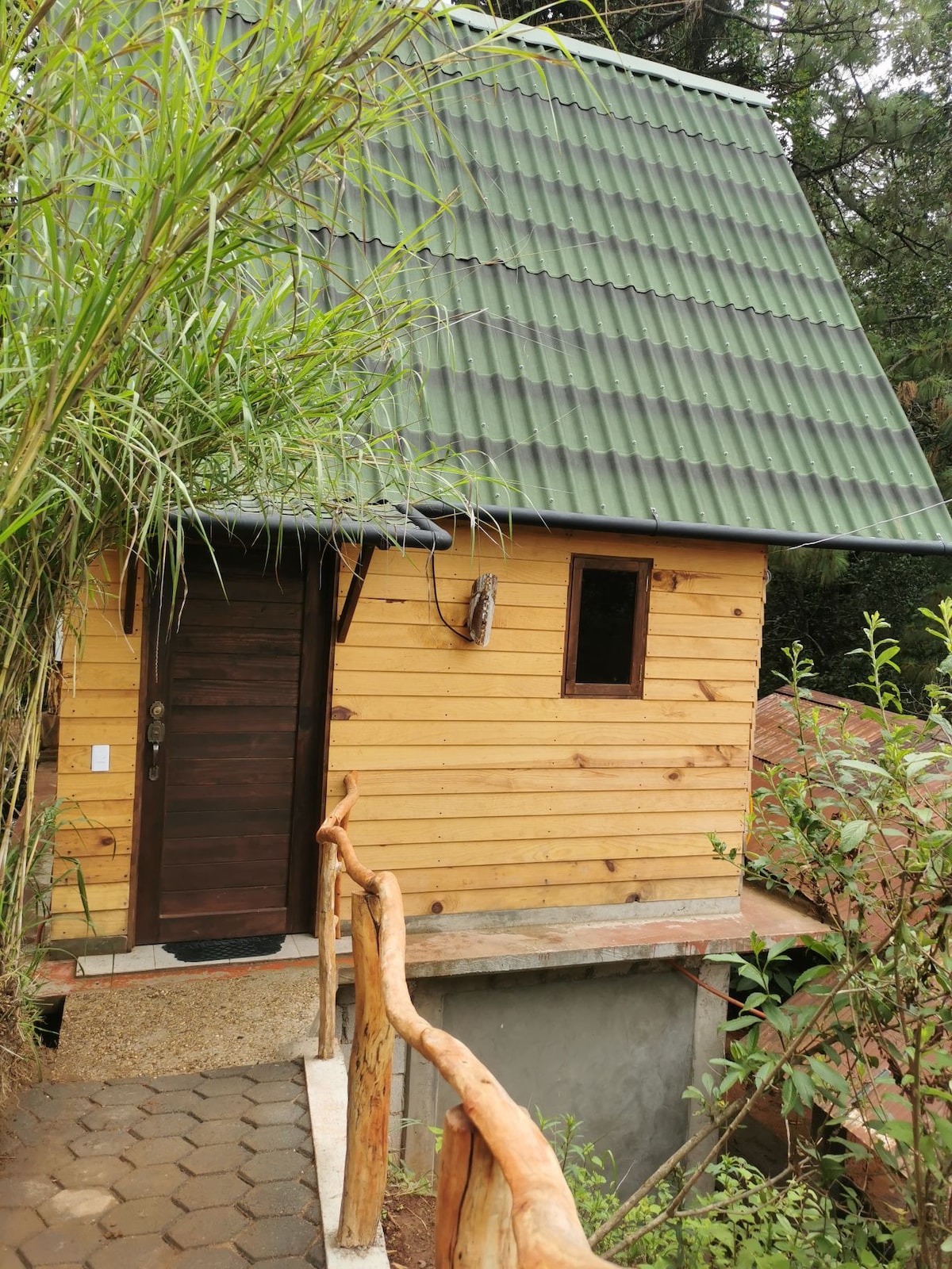 A newly constructed cabin features a wooden exterior with a green metal roof. The entrance is framed by tall grass and bushes, leading to a welcoming door. Natural stone steps guide visitors up to the cabin, offering a sense of connection with the surrounding nature.