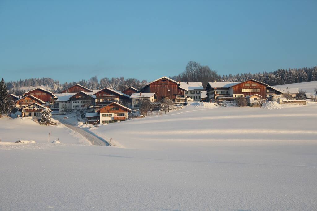The village in winter