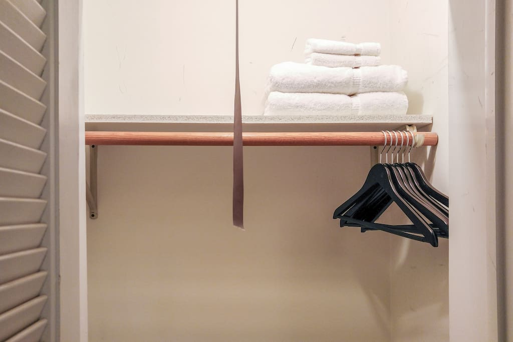 Closet is perfect for storing luggage.