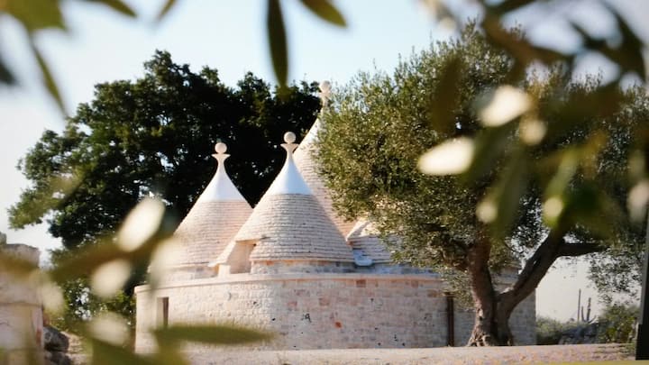 Selva di Fasano Events Allowed Rentals - Puglia, Italy, Italy | Airbnb