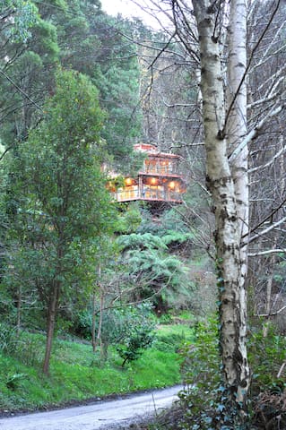 Risehill House Kalorama gallery image 3