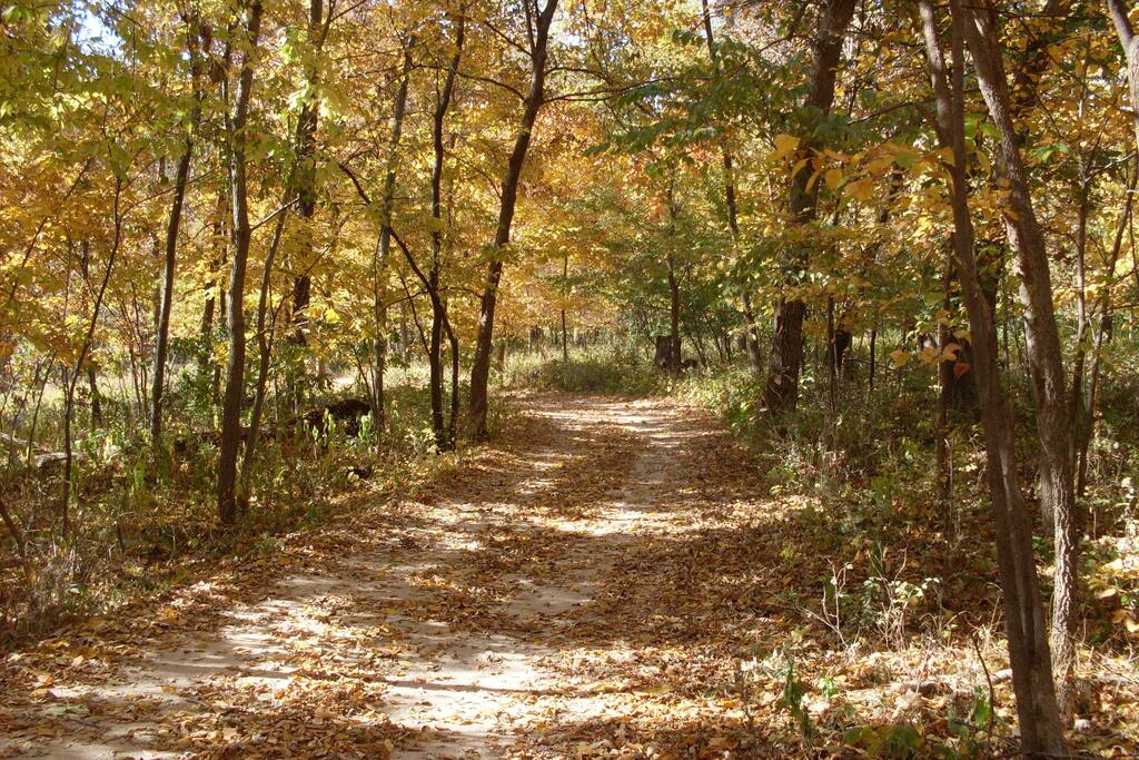 Private road to the Woodland B&B