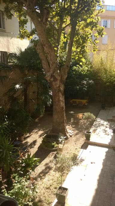 Jardin à la fin de l'été...