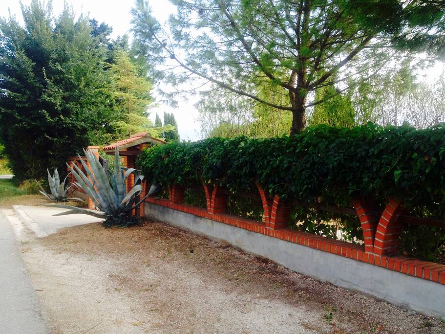 Dalla Strada
