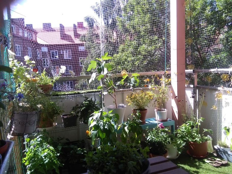 balcony