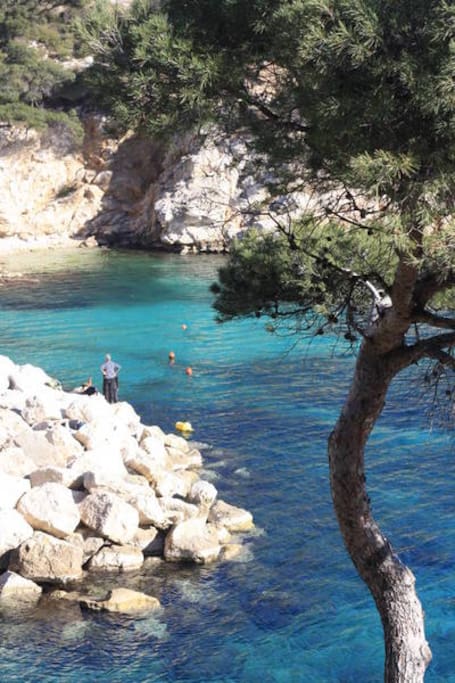 near from Sormiou's Calanque