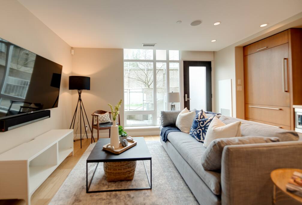 TV/Pullout Couch