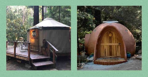 The Nests at Camp Cruz. A Redwood Glamping Retreat