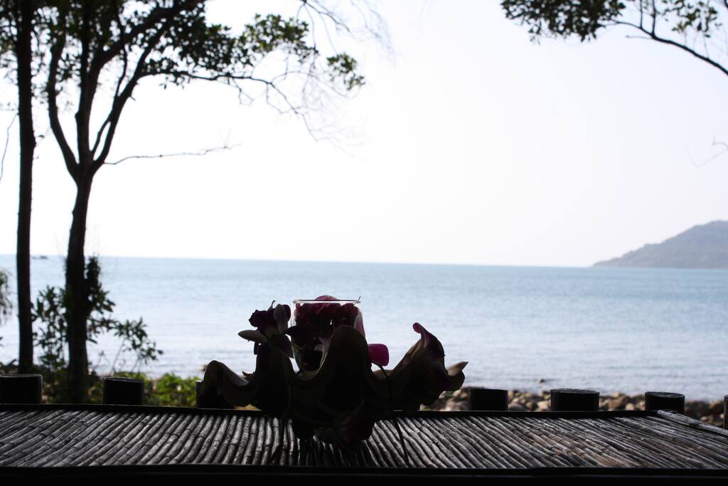 view from bungalows