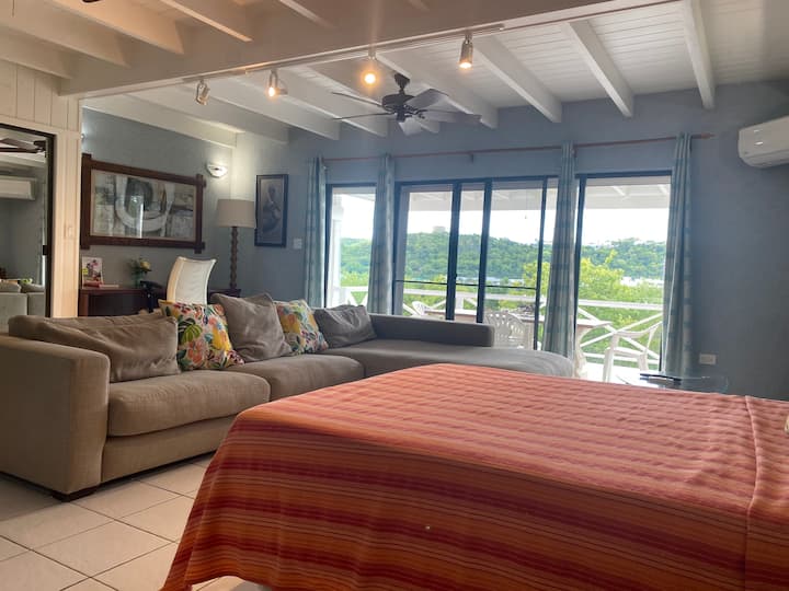 Loft Apartment Ocean View - Saint John's