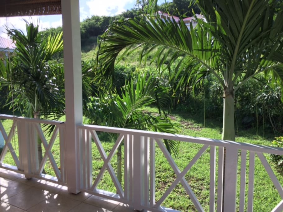 View from veranda