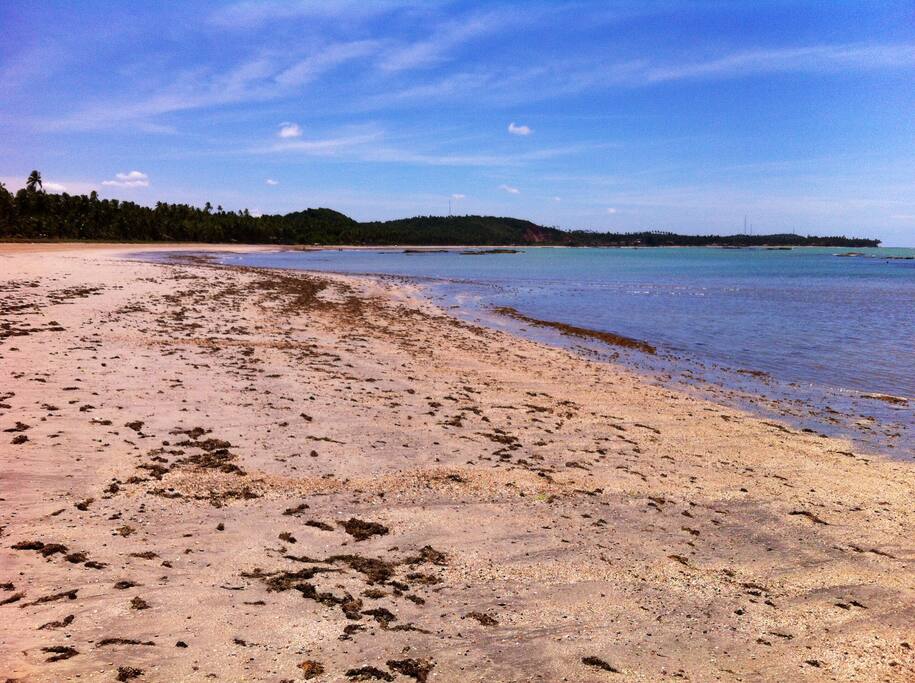 Vista da praia de Pontal do Boqueirão, olhando a partir das próximidades da casa