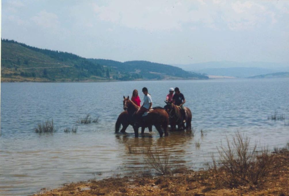 Balade à cheval au lac de Naussac