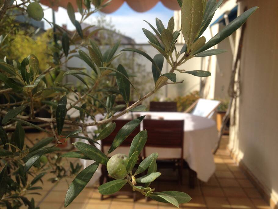 Terrasse