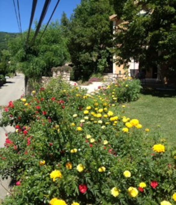 vue jardin