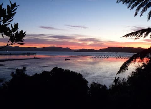Seaperch by Coromandel Town