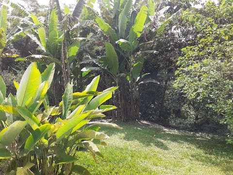 Charming cottage on a farm with pool in Embu