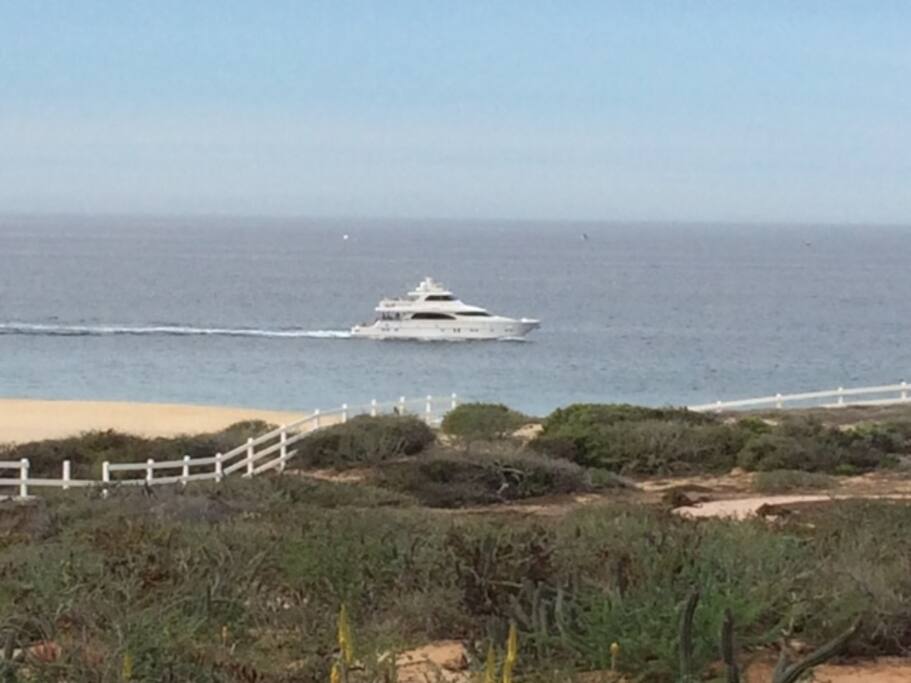 Great fishing grounds on this coastline.