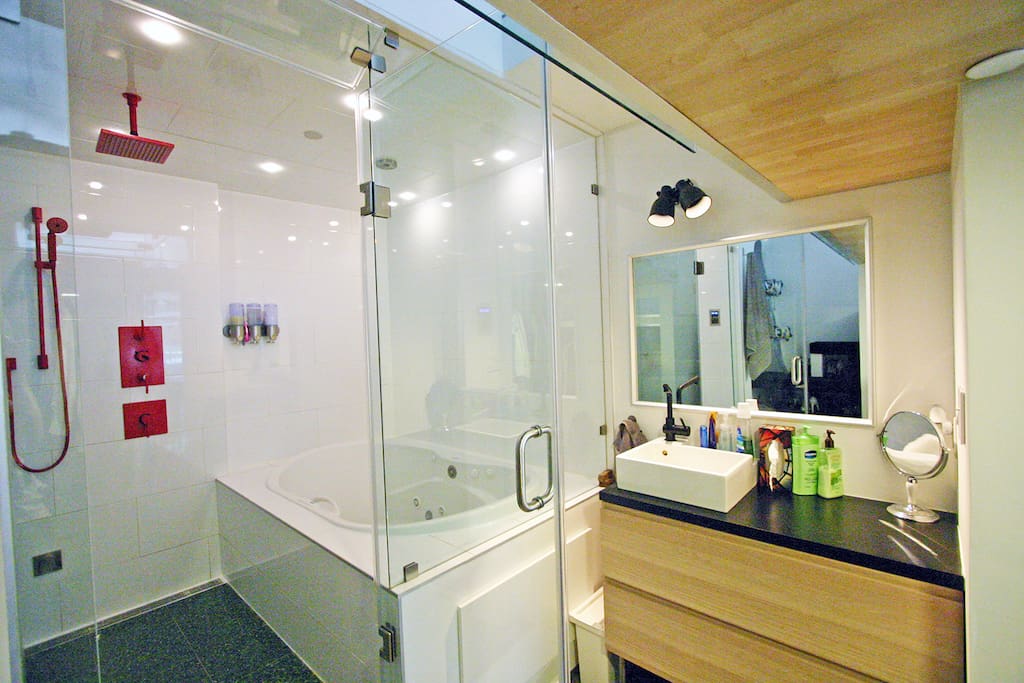open concept rain shower + jacuzzi tub