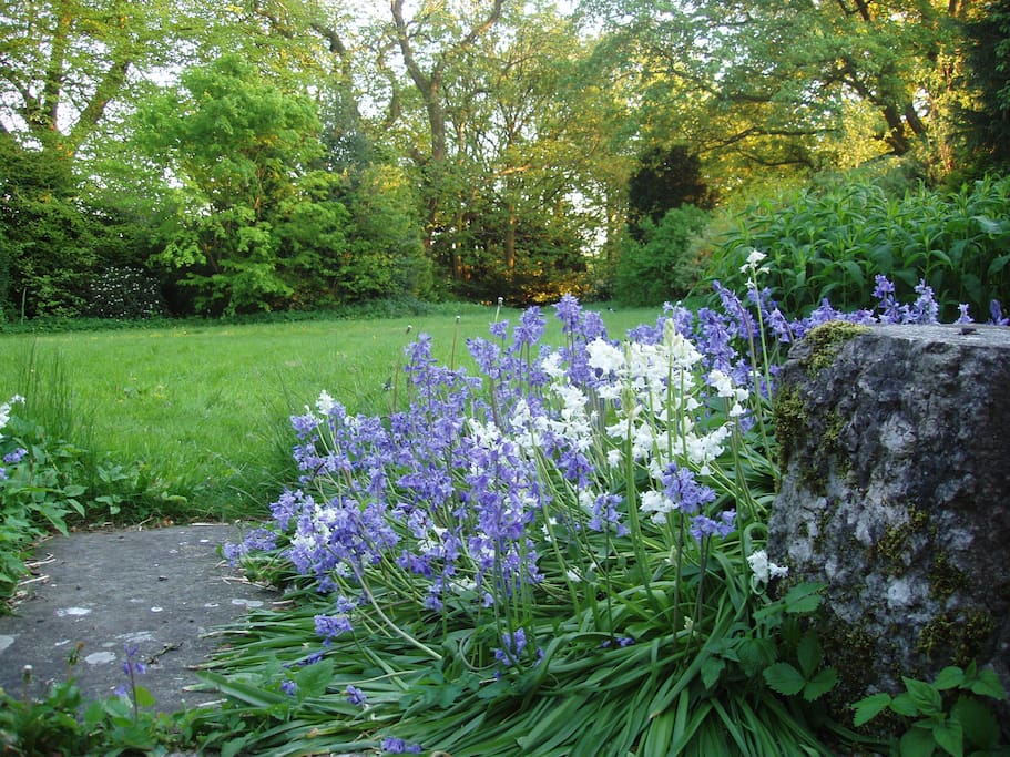 Extensive Grounds and beautiful flowers.
