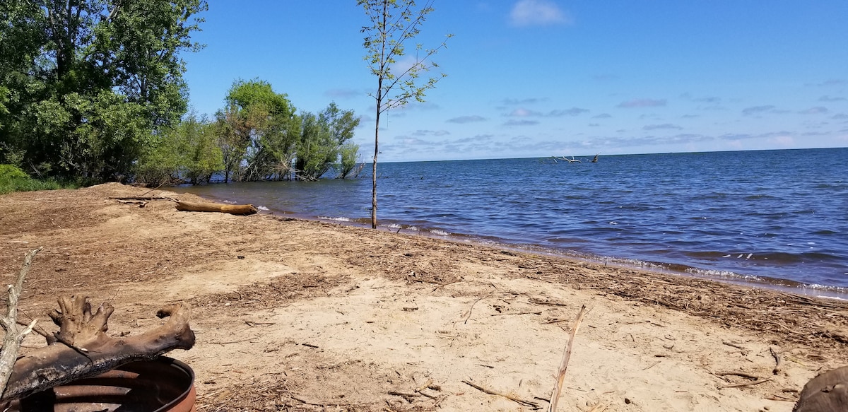 A sandy beach along Lake Huron features gentle waves lapping at the shore. Sparse vegetation, including a small tree, can be seen in the background, while remnants of driftwood lie scattered on the sand. The sky displays a blue hue with scattered clouds.