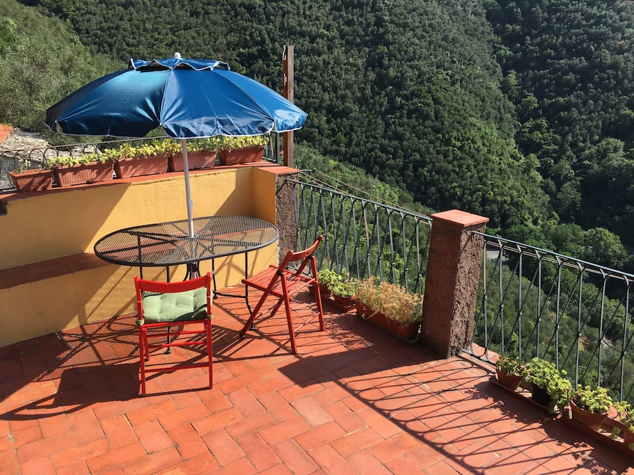 The Terrace