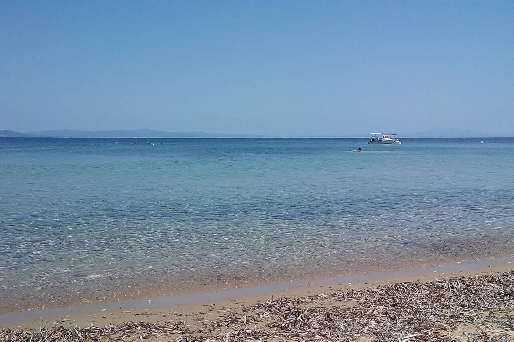 SEA